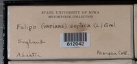 Image Associated With the Occurrence